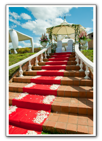 Tapis rouge pour un mariage 