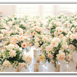 bouquet de rose blanche