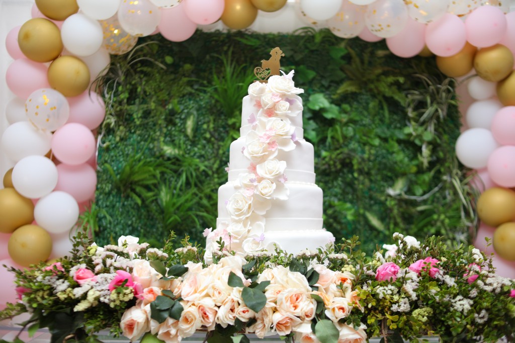 gateau mariage champêtre colonnades photosary emilio elviane (2)