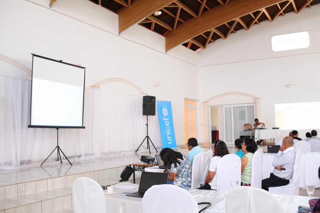 Groupe de travail-Atelier CI SRMNIA-N UNICEF Madagascar-espace-Les Colonnades-Antananarivo-Janvier-2020 (4)